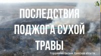 Последствия поджога сухой травы. Останови огонь!